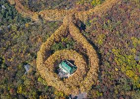 Aerial Meiling Palace