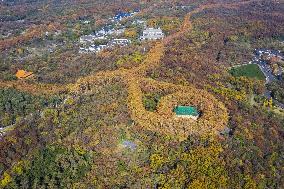 Aerial Meiling Palace