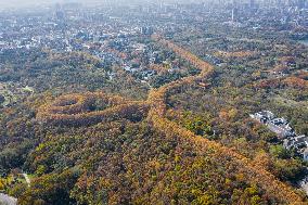 Aerial Meiling Palace