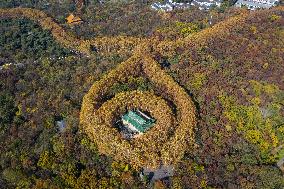 Aerial Meiling Palace