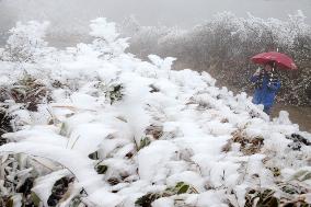 The First Rime at Qianjiang National Forest Park in Chongqing