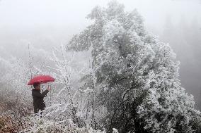 The First Rime at Qianjiang National Forest Park in Chongqing