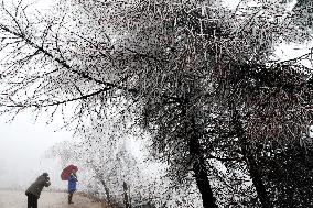 The First Rime at Qianjiang National Forest Park in Chongqing