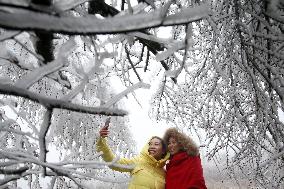 The First Rime at Qianjiang National Forest Park in Chongqing