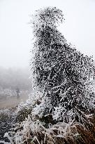 The First Rime at Qianjiang National Forest Park in Chongqing