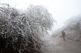 The First Rime at Qianjiang National Forest Park in Chongqing