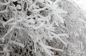 The First Rime at Qianjiang National Forest Park in Chongqing