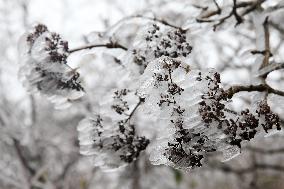 The First Rime at Qianjiang National Forest Park in Chongqing