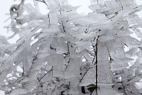 The First Rime at Qianjiang National Forest Park in Chongqing