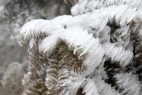 The First Rime at Qianjiang National Forest Park in Chongqing