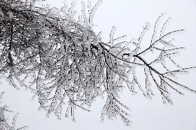 The First Rime at Qianjiang National Forest Park in Chongqing