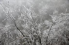 The First Rime at Qianjiang National Forest Park in Chongqing