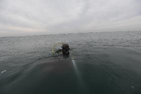 Sea Cucumber Fishing in 2020