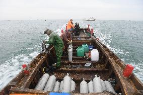 Sea Cucumber Fishing in 2020