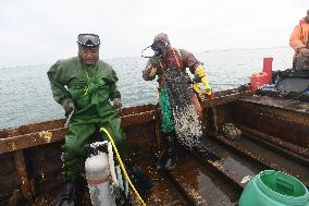 Sea Cucumber Fishing in 2020