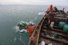 Sea Cucumber Fishing in 2020