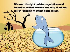 Ecosystem Conservation Manga