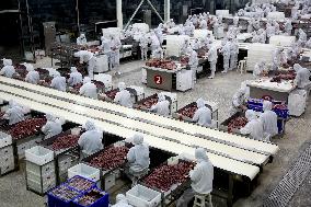 Animal Husbandry Industry