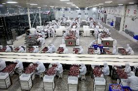 Animal Husbandry Industry