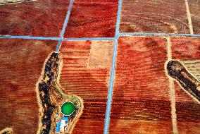 Aerial Photo Cofco Great Wall Grape Red Leaves