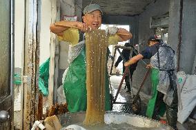 Vermicelli Production