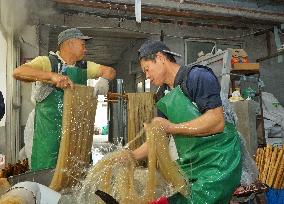 Vermicelli Production