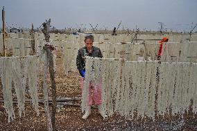 Vermicelli Production