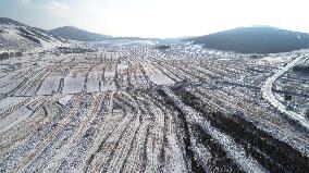 Huapiling Grassland Covered With Snow