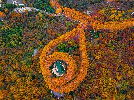 Aerial Sun Yat-sen Mausoleum Music Stage