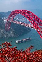 Three Gorges In Winter