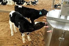 Dairy farm Scientific Breeding