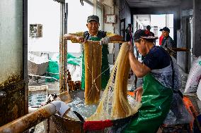 Traditional Sweet Potato Vermicelli Process