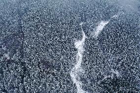 Heavy Snow Hits Chongqing