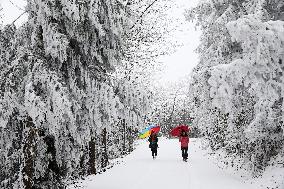 Heavy Snow Hits Chongqing