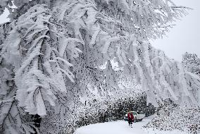 Heavy Snow Hits Chongqing