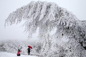 Heavy Snow Hits Chongqing