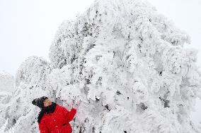 Heavy Snow Hits Chongqing