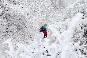 Heavy Snow Hits Chongqing