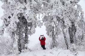 Heavy Snow Hits Chongqing