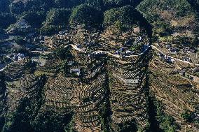 Poverty Alleviation Tea Garden Terraced