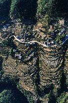 Poverty Alleviation Tea Garden Terraced