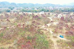 China Winter Weather