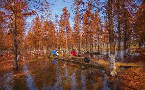 China Colorful Winter