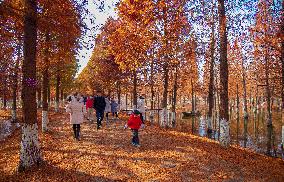 China Colorful Winter