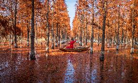 China Colorful Winter