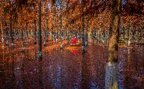 China Colorful Winter