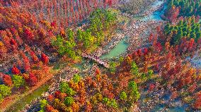 China Colorful Winter