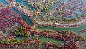 China Colorful Winter