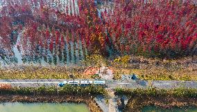 China Colorful Winter