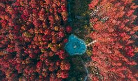 China Colorful Winter